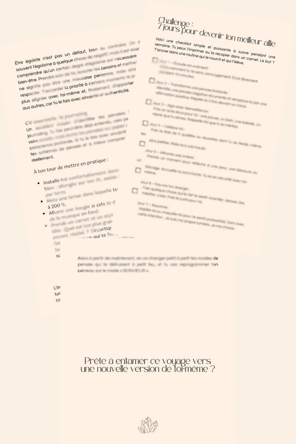 Coffret E-book + Workbook